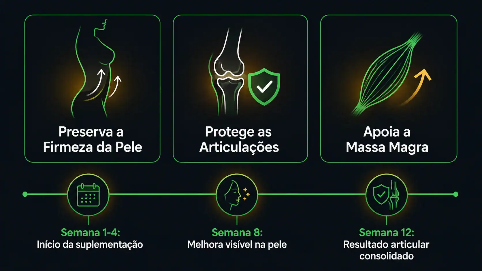 Ilustração mostrando os três benefícios do colágeno durante o emagrecimento: preservação da pele, saúde articular para treinar e suporte à massa magra